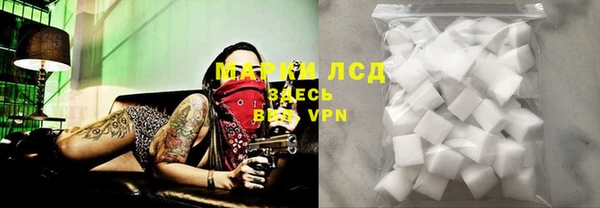 стафф Магас