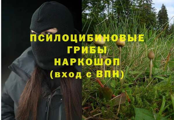 стафф Магас