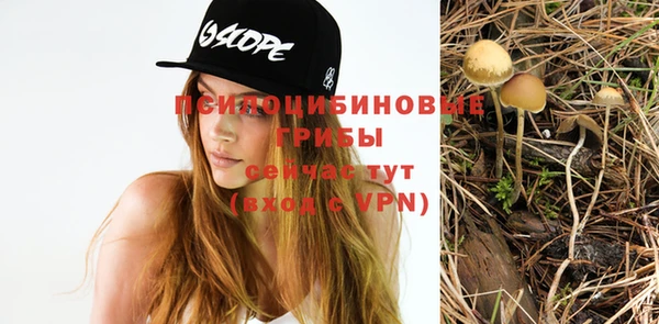 гашик Магадан