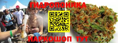 прущие грибы Балашиха