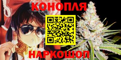 прущие грибы Балашиха