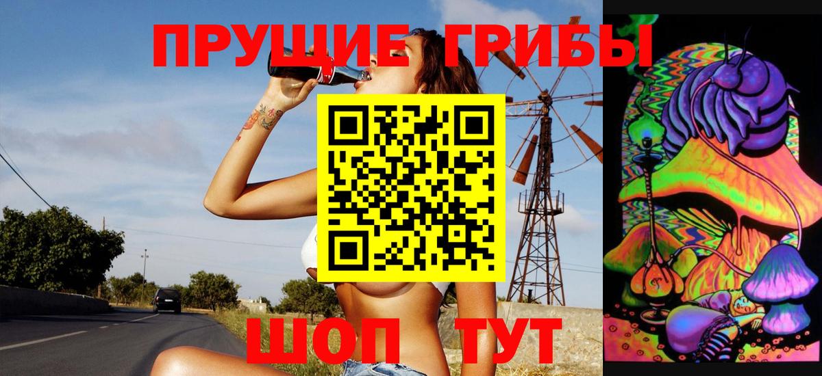 Псилоцибиновые грибы мицелий Павлово