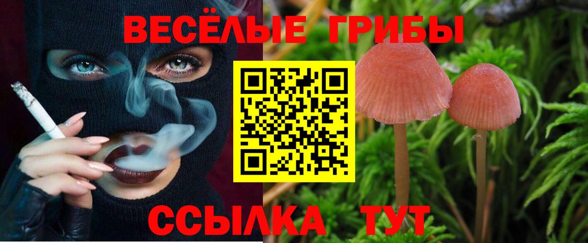 Псилоцибиновые грибы мицелий Павлово