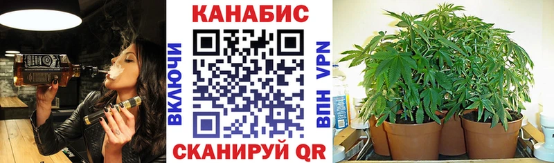 Шишки марихуана Amnesia  Павлово 